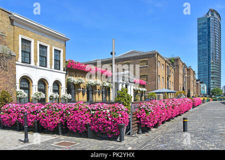 Die London Street Szene West India Quay Canary Wharf Petunia Blumen an historischen Wetherspoons Ledger Building London Pub Restaurant business England Großbritannien Stockfoto