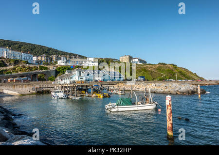 Ventnor auf der Isle of Wight in England Stockfoto