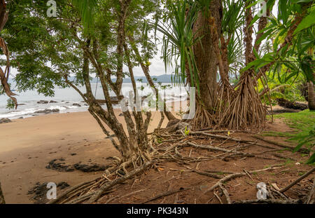 Strand, Corcovado Nationalpark, Halbinsel Osa, Costa Rica Stockfoto