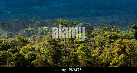 Blick vom Mirador El Silencio Hotel, San Carlos, Costa Rica Stockfoto