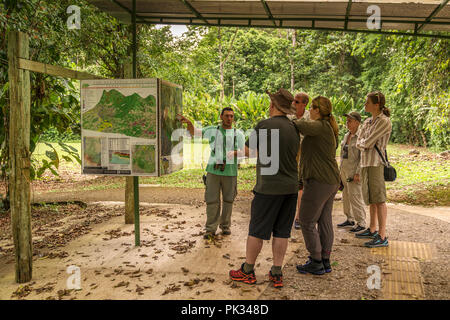 Tour Guide mit einem Touristen, Tenorio Volcano National Park, Costa Rica Stockfoto