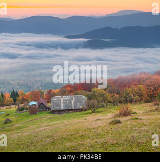 Herbst im Karpatischen Dorf Kvasy. Transkarpatien, Ukraine, Europa. Stockfoto