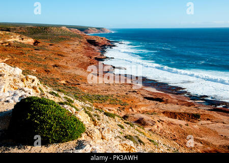 Red Bluff Sandstein - Kalbarri - Australien Stockfoto