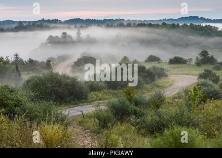 Morgen Nebel steigt in diesem ländlichen amerikanischen Szene. Stockfoto