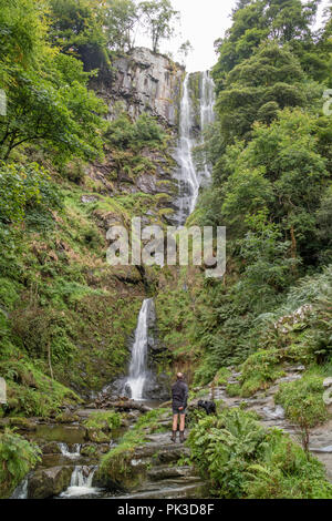 Die Afon Disgynfa Pistyll Rhaeadr und Kaskadierung über eines der sieben Wunder von Wales in der Nähe der Ortschaft Llanrhaeadr-ym-Mochnant in Powys, Wales, Großbritannien Stockfoto