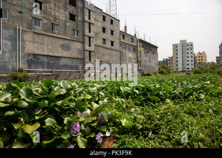 Die Website der schrecklichen Katastrophe Rana Plaza, wo über 1.000 Menschen ihr Leben verloren, wenn ein 8-stöckiges Gebäude in Dhaka, Bang zusammengebrochen Stockfoto