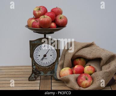 Ein Beutel mit roten Äpfeln für das Wiegen auf dem alten Küchenwaage gefüllt Stockfoto