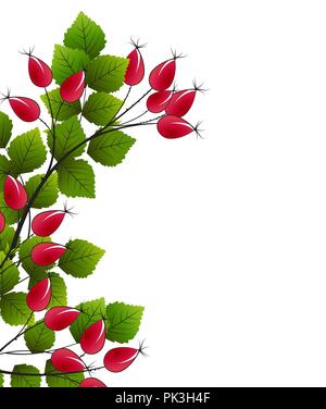 Vektor-Hagebutte Stock Vektor