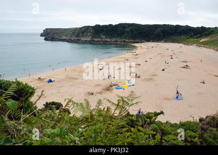 Die Leute am Strand bei Barafundle Bucht auf der Aufbau Immobilien, Pembrokeshire, Wales, Großbritannien Stockfoto
