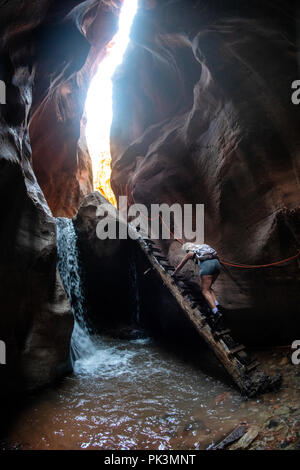 Eine Frau Klettert eine Leiter beim Wandern in Kanarra Creek Canyon, Kanarraville, Bügeleisen County, Utah, USA anmelden. Stockfoto