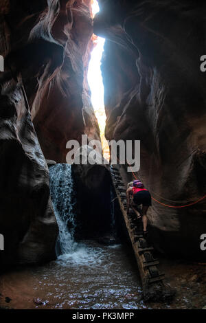 Eine Frau Klettert eine Leiter beim Wandern in Kanarra Creek Canyon, Kanarraville, Bügeleisen County, Utah, USA anmelden. Stockfoto