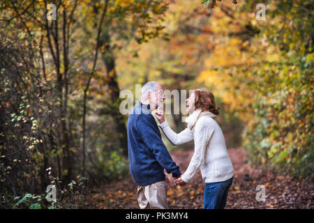 Senior Paar in einem Herbst Natur, Hände halten und Spaß haben. Stockfoto
