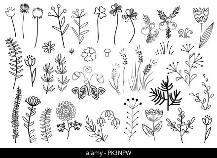 Florale grafische Elemente große Vektor einrichten. Doodle Blumen und Pflanzen Hand gezeichneten Illustrationen. Wald, in den Bergen, und Wiesenkräutern auf Weiß isoliert Stock Vektor