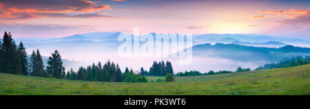 Bunte Sommermorgen in den nebligen Karpaten. Schöne Landschaft mit Sonnenaufgang auf der Borschawa ridge, Ukraine, Europa. Stockfoto