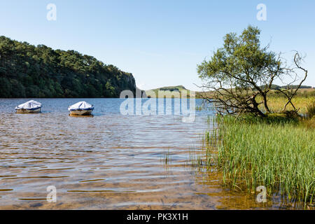 Eine kleine verwitterte Baum steht neben einem See, an dem zwei Boote schwimmen. In der Mitte sind bewaldeten Felsen und Klippen. Stockfoto