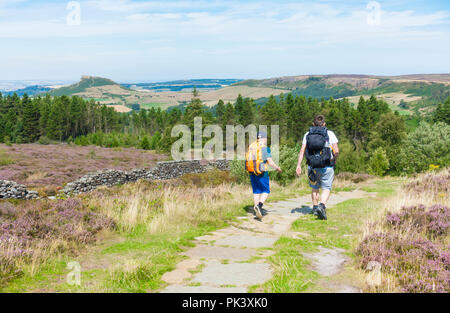 Auf hilers Easby Moor mit Roseberry Topping im Abstand (links). North York Moors National Park, North Yorkshire, England, Vereinigtes Königreich. Stockfoto