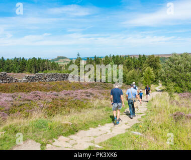 Auf hilers Easby Moor mit Roseberry Topping im Abstand (links). North York Moors National Park, North Yorkshire, England, Vereinigtes Königreich. Stockfoto