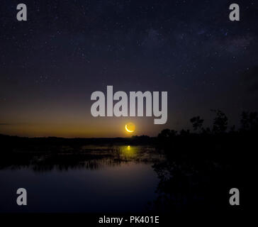 Crescent Moon Rising in den Sümpfen von Big Cypress National Preserve in Florida. Stockfoto