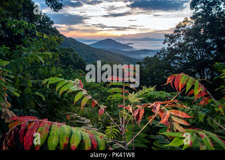 Sunrise vista auf dem Blue Ridge Parkway - erste Zeichen der Fall an der Kastanie Cove übersehen - Asheville, North Carolina, USA Stockfoto