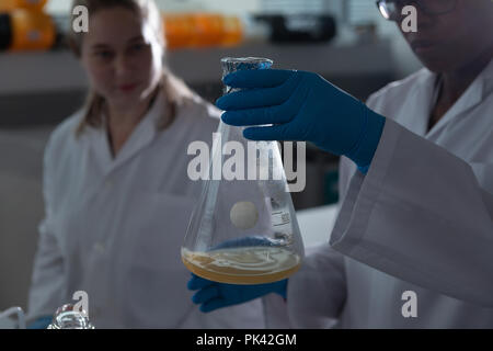 Wissenschaftler Experimentieren im Labor Stockfoto