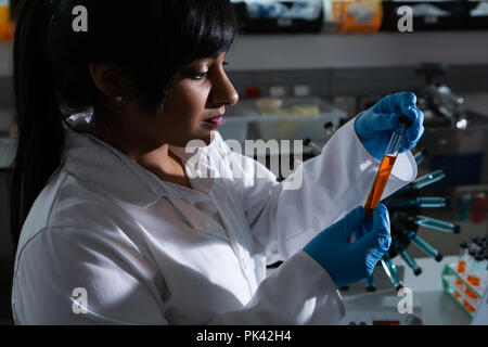 Wissenschaftlerin Prüfung Reagenzglas Stockfoto