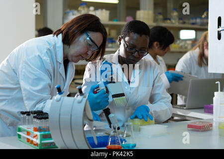 Wissenschaftlerinnen mit Pipette im Labor Stockfoto