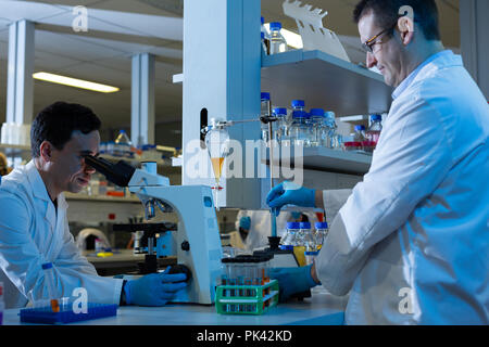 Männliche Wissenschaftler Experimentieren im Labor Stockfoto