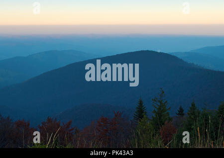 Mehrere junge Fichten und Kiefern tops gegen Smoky Mountain Hills in Blau grauer Nebel unter warmen Licht wolkenlosen Himmel bedeckt an einem warmen Herbstabend im Oktober Stockfoto