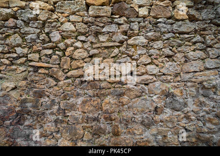 Schöne, alte Steinmauer mit Moos und Vegetation (Moose, Farne, Gras) mit Blick nach Norden Stockfoto