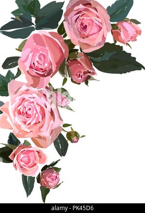 Floral Design Illustration. Garten Blume rosa Rose auf weißem Hintergrund. Elegante bouquet Drucken im rustikalen Stil. Hochzeit Einladung Karte Stock Vektor
