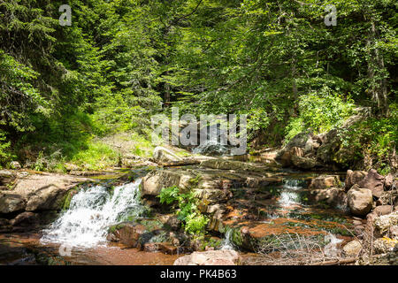 Schöne, bunte Mountain Creek kaskadierend durch den dichten Wald auf alten Berg Stockfoto