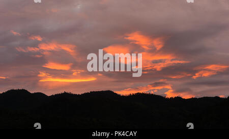 Roter Himmel Sonnenuntergang und Wald im Abel Tasman Costal Track - New Zealand's Great Walk Stockfoto