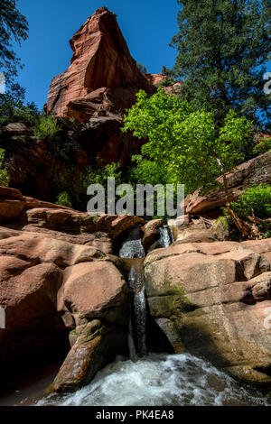 Kanarra Creek Canyon, Kanarraville, Bügeleisen County, Utah, USA Stockfoto