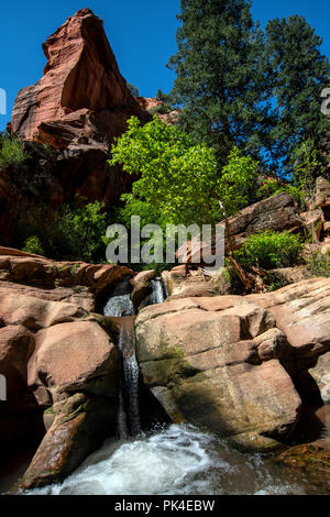 Kanarra Creek Canyon, Kanarraville, Bügeleisen County, Utah, USA Stockfoto