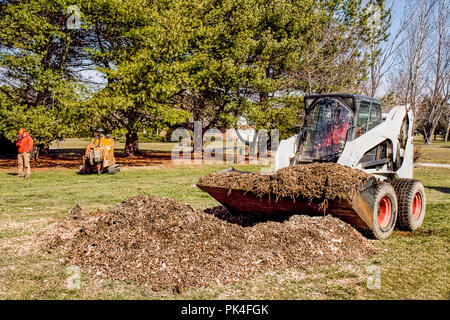 Landschaftsgestalter zusammen mit schwerem Gerät entfernen Großer Ahornbaum für Hausbesitzer. Bull Dozer, Lkw, Rundholz entfernt werden Stockfoto