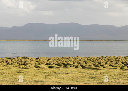 Song Kul See in Kirgisistan in den magischen Abendlicht Stockfoto