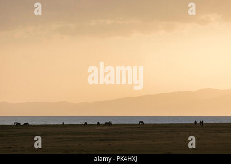 Song Kul See in Kirgisistan in den magischen Abendlicht Stockfoto