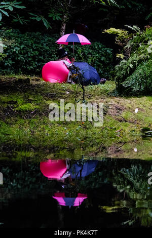 Atmosphäre bei Festival Nr. 6 am Samstag, den 8. September 2018 in Portmeirion, Gwynedd, Wales. Paar entspannen Sie sich in den Wäldern von der Chinesischen See. Bild von Julie Edwards. Stockfoto