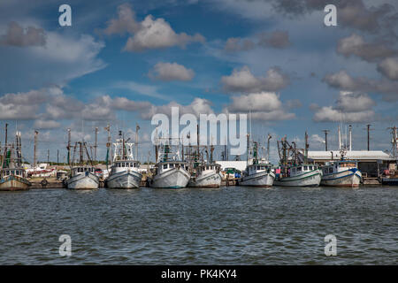 Shrimpboats am Hafen in Palacios, Golfküste, Texas, USA Stockfoto