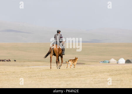 Song Kul, Kirgistan, 8. August 2018: einem Kirgisischen reitet sein Pferd zu einem jurtencamp an Song Kul See in Kirgisistan Stockfoto