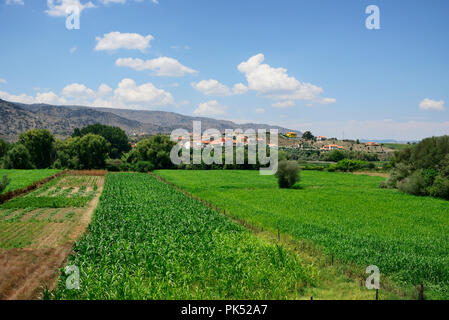 Vale da Vilariça entlang dem Fluss Sabor, einer der fruchtbarsten Regionen im Norden von Portugal. Tras-os-Montes, Portugal Stockfoto