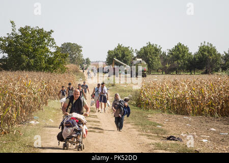 TOVARNIK, KROATIEN - 19. SEPTEMBER 2015: die Flüchtlinge zu Fuß durch die Felder in der Nähe der Kroatien Serbien Grenze, zwischen den Städten Sid Tovarnik auf der Stockfoto