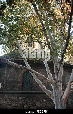 Runde Kirche, aka die Kirche des Heiligen Grabes; runde Kirche Street, Cambridge, England, Großbritannien Stockfoto