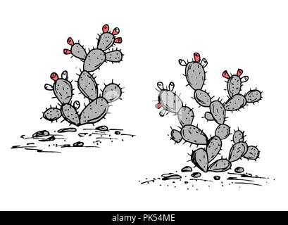 Feigenkaktus Vektor. Opuntia ficus indica Skizze. Feigenkakteen mit reifen Früchten, zwei Pflanzen gesetzt. Hand gezeichnete Illustration in stilvollen Farbe Buche Stock Vektor