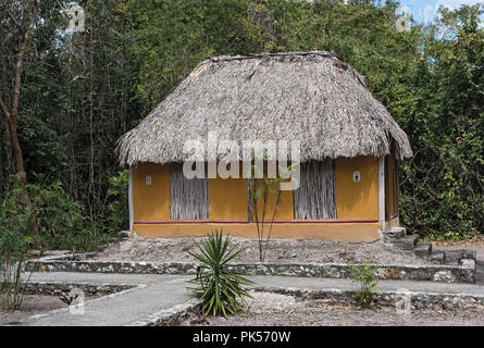 Gelbe wc auf der archäologischen Stätte Kohunlich, Quintana Roo, Mexiko. Stockfoto