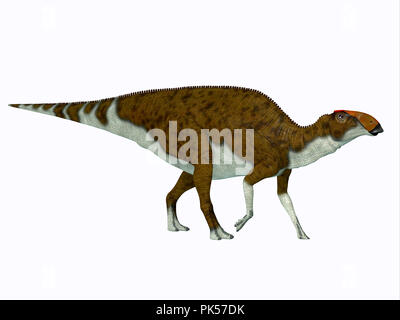 Brachylophosaurus Dinosaurier - Brachylophosaurus war ein Pflanzenfresser Hadrosaur Dinosaurier, die während der Kreidezeit von Nordamerika lebte. Stockfoto