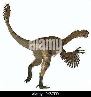 Citipati weiblichen Dinosaurier Schwanz - Citipati war eine fleischfressende Velociraptor Dinosaurier, die in der Mongolei während der Kreidezeit lebten. Stockfoto