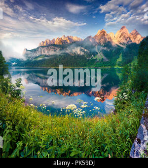 Sonnigen Sommermorgen auf der vorderen Gosausee in den österreichischen Alpen. Österreich, Europa. Stockfoto