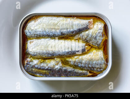 Eine geöffnete Dose Sardinen in Öl auf einem weißen Teller von oben gesehen. Stockfoto