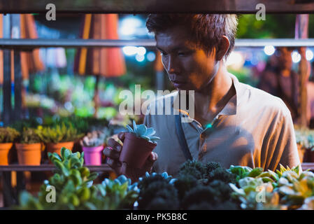 Junge Mann sieht eine Zimmerpflanze in seinen Händen durch Regale mit sukkulenten Pflanzen in einer Nacht Markt umgeben. Dies ist der Chatuchak Market, Bangkok Stockfoto